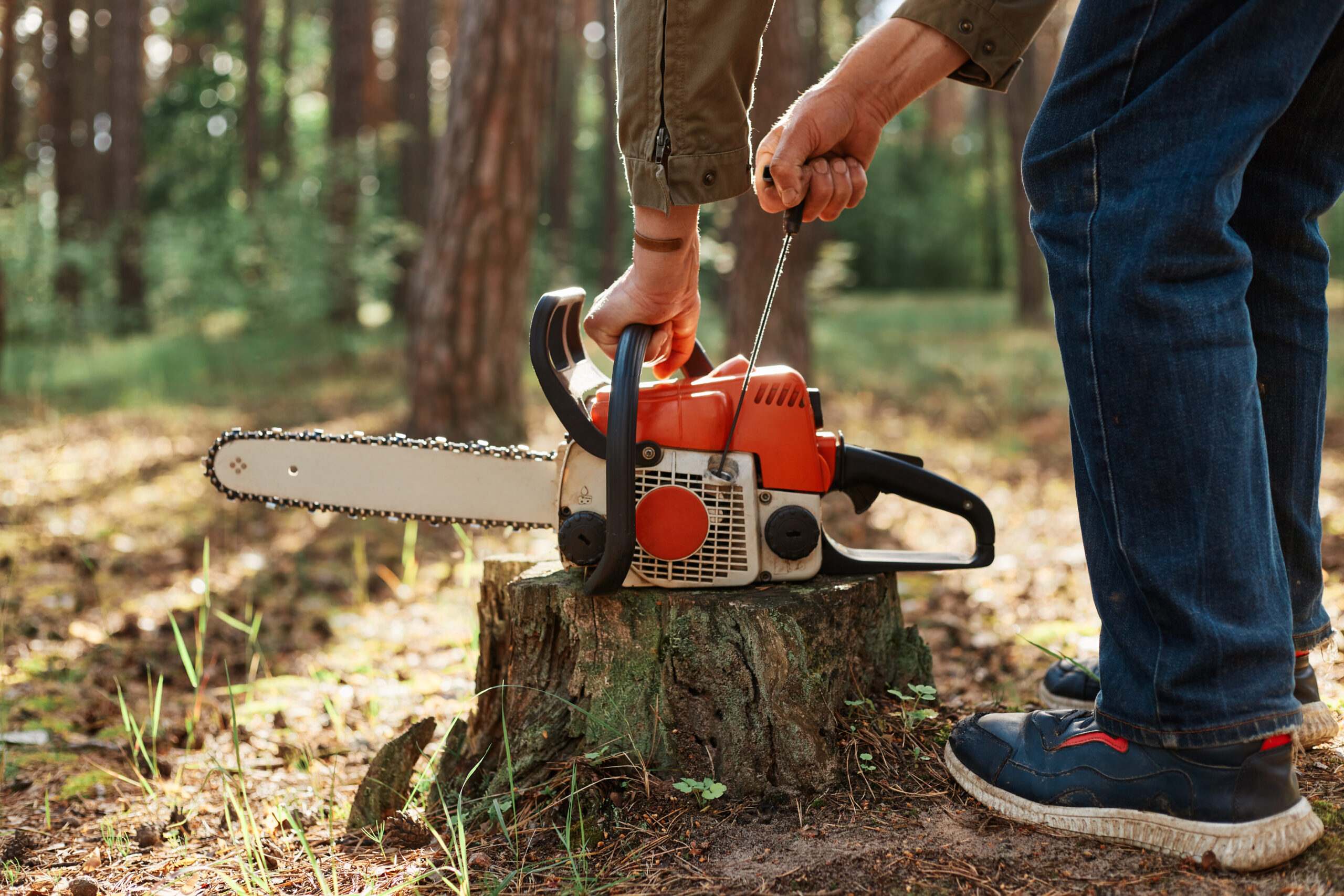 Closeup of chainsaw on wooden stump, faceless woodsman start saw, industrial destruction of trees, causing harm to the environment, deforestation.